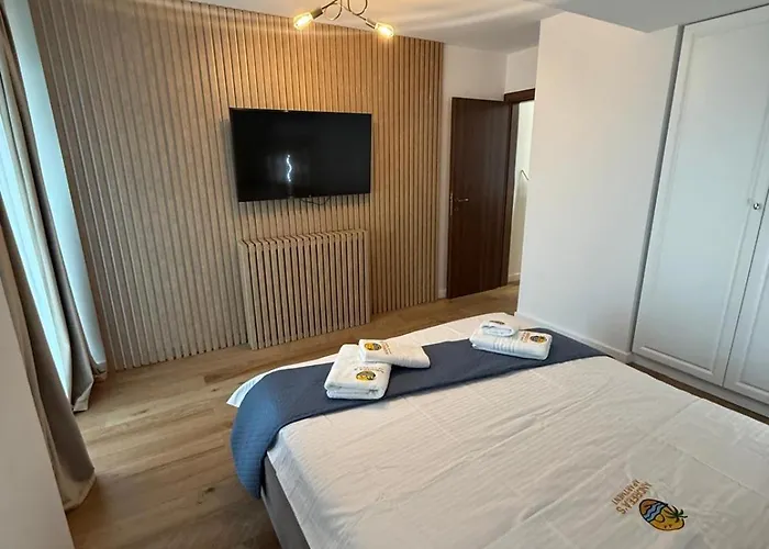 公寓 Andreea S 2 那沃达利